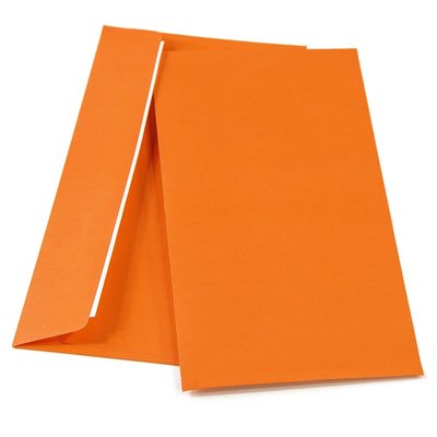 Plic DL SLK, (110*220), color, orange intens 4010 фото